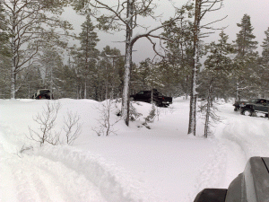 26012008046.gif