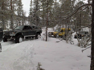 26012008048.gif