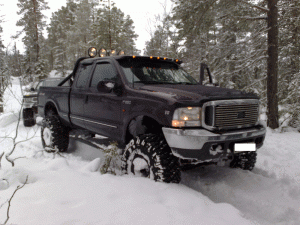 26012008049.gif