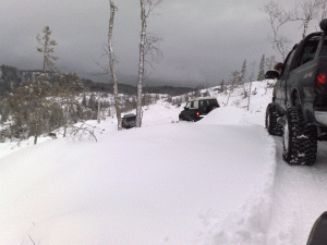 26012008053.gif