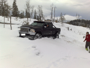 26012008054.gif