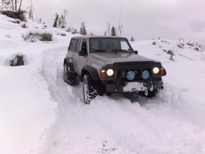 26012008056.gif