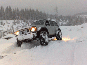 26012008058.gif