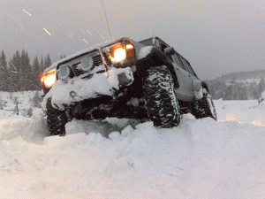 26012008059.gif
