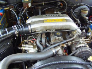 bilder re  januar  2012 0g utover   mars 2012 365.jpg