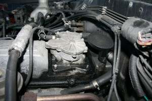 IMG_8381.JPG