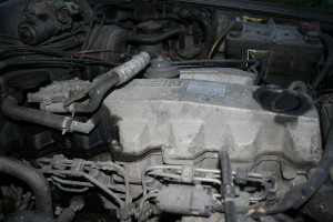IMG_8391.JPG