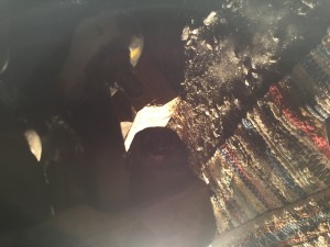 image.jpeg (1.89 MIB) Vist 26398 ganger image.jpeg